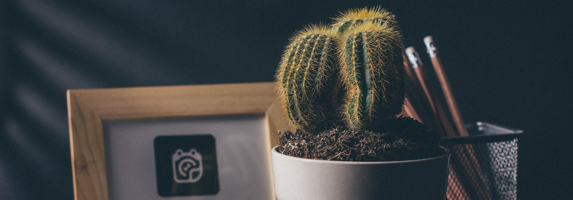 Final Website Project